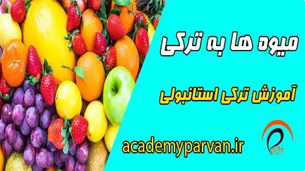 میوه ها و سبزیجات به ترکی استانبولی همراه با تلفظ